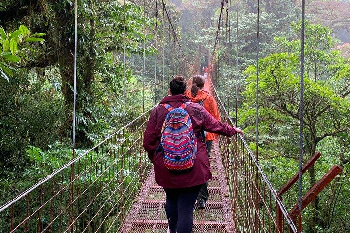 MONTEVERDE DAWN BIRDWATCHING + FREE Binoculars (6 people maximum)