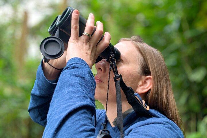 MONTEVERDE DAWN BIRDWATCHING + FREE Binoculars (6 people maximum)