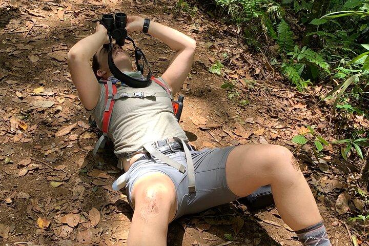 Monteverde Full Day Birding Expedition with FREE BINOCULARS