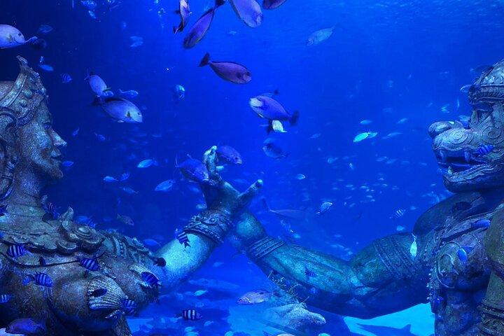Inträdesbiljett till Aquarium Phuket