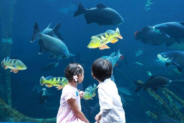 Inträdesbiljett till Aquarium Phuket
