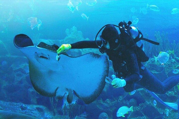 Aquarium Phuket Admission Ticket