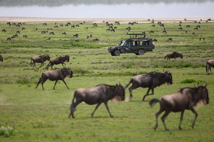 3 jours de camping privé Masai Mara Safari Min 2pax
