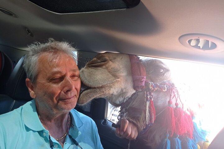 死海とマサダ砂漠の冒険プライベート ツアー