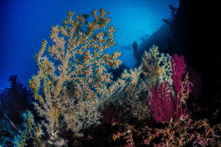 Imersão no Banco Santa Croce de Sorrento com guia especializado