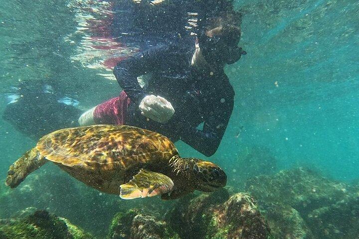 Pinzon Island and La Fe Snorkeling Day Trip