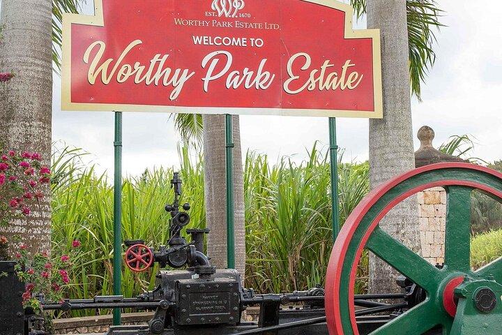 Visite privée du rhum Worthy Park Estate