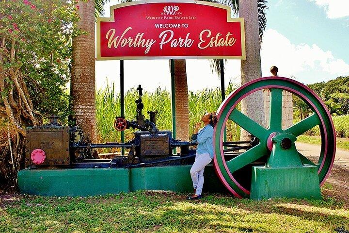 Visite privée du rhum Worthy Park Estate