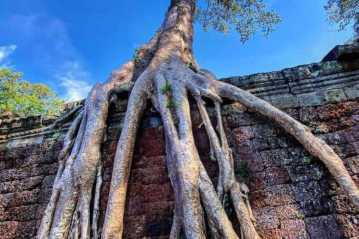 Excursão de descoberta de dia inteiro em Angkor