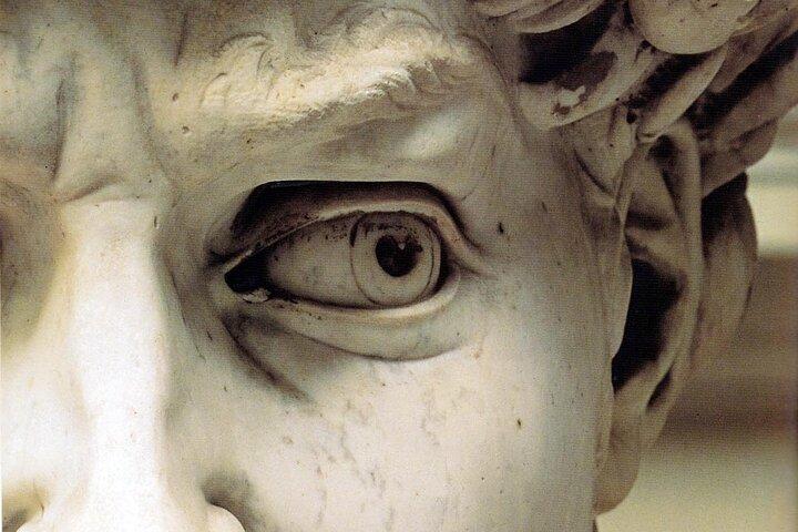 Florence Sla de wachtrij over Michelangelo David Accademy Rondleiding