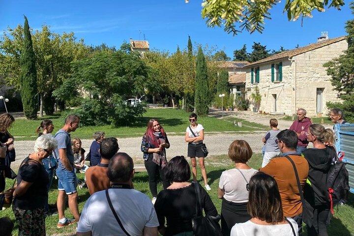 Begeleide rondleiding door de lavendeldistilleerderij tussen Nîmes en Arles
