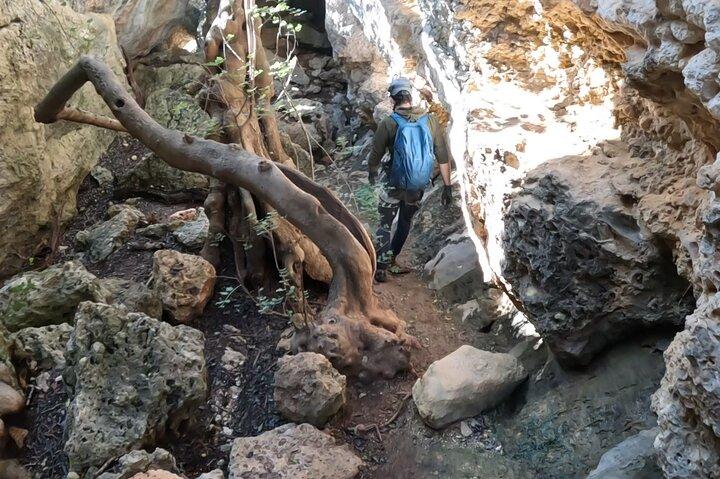 Full Day Rock Climb Adventure Trail with Lunch