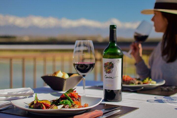 Domaine Bousquet Winery Tour mit Reiten und Mittagessen