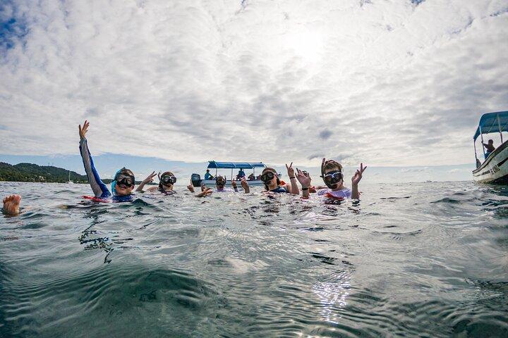 ウエスト エンドでのボートとシュノーケリング (ブルー チャンネル、水族館、タートル クロッシング)