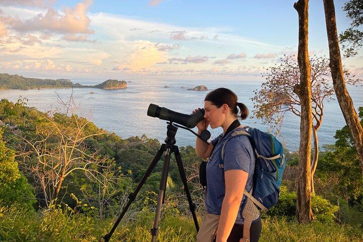 Visite privée du coucher du soleil et de la nuit de Manuel Antonio
