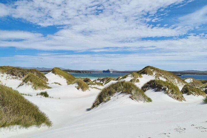 Privat Coastal Gems Tour: Penguins, Scenery & Stanley