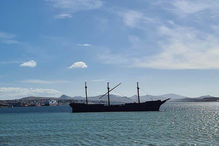 Privat Coastal Gems Tour: Penguins, Scenery & Stanley