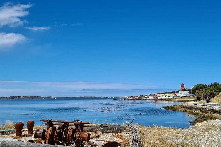 Privat Coastal Gems Tour: Penguins, Scenery & Stanley