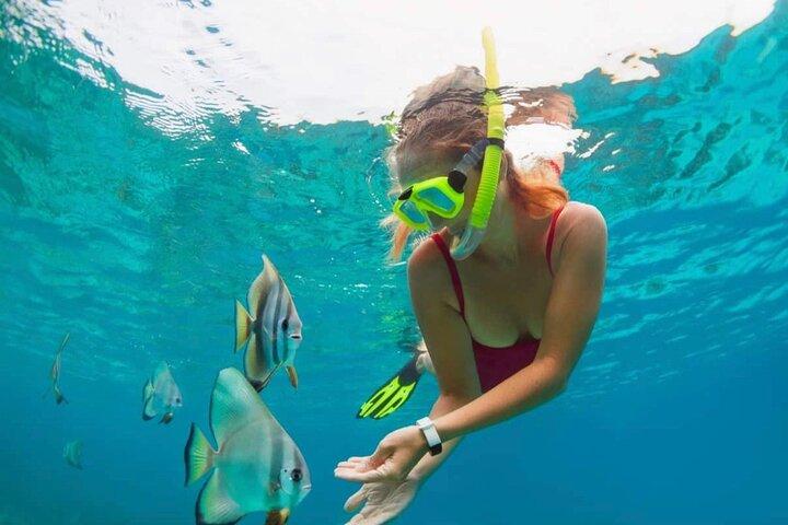 Bali Blue Lagoon y Tanjung Jepun Snorkeling con Todo Incluido