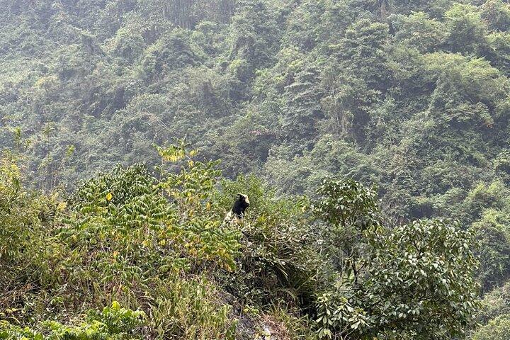Trekking Ban Gioc Waterfall naar Hidden Village op unieke route