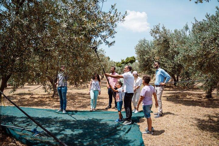 Tour privato di Corinto e degustazione di olio d'oliva da Atene