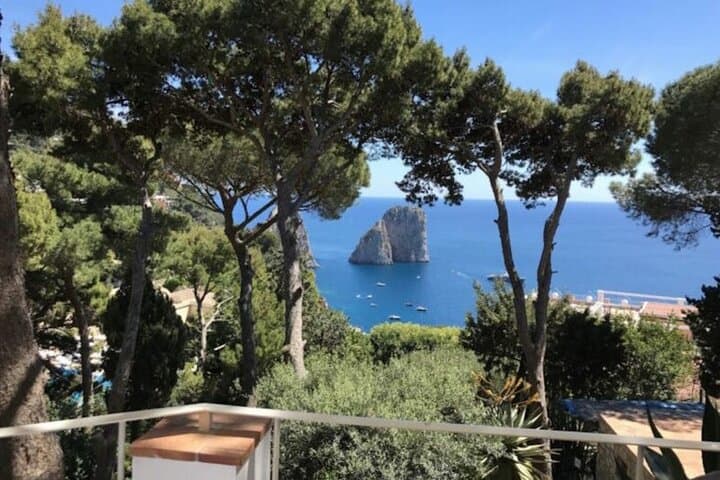 Discover Capri from Sorrento or Naples | Semi-Private Day Tour