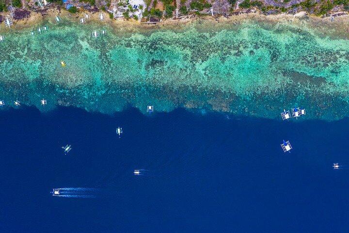 モアルボアルイワシはプライベートツアー（送迎付き）