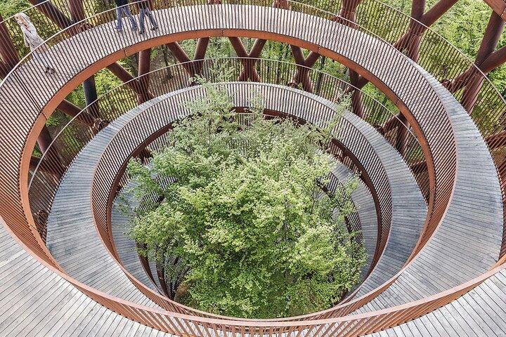 モンスクリント、フォレスト タワー、忘れられた巨人 - プライベート ツアー