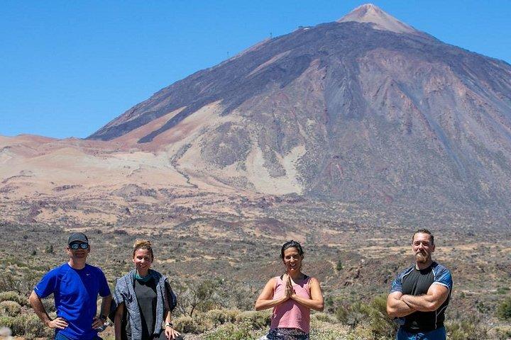 Esperienza vulcanica di mezza giornata al Teide, Tenerife
