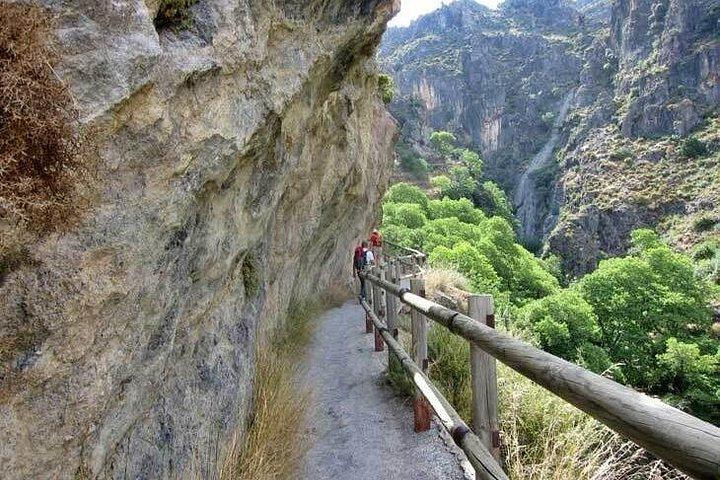 Excursion d'une journée à Los Cahorros de Monachil au départ de Grenade