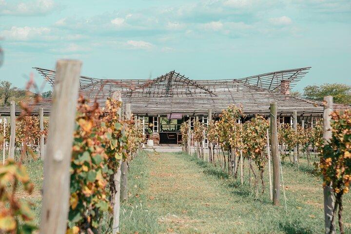 Weingut und Verkostungserfahrung in Buenos Aires
