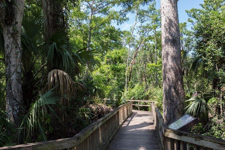 Recorrido en audio autoguiado por la reserva nacional Big Cypress National Preserve