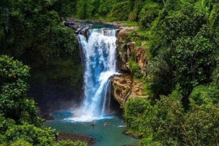 Bali PrIvate Full-Day Tour: Ubud and Tanah Lot Temple Tour