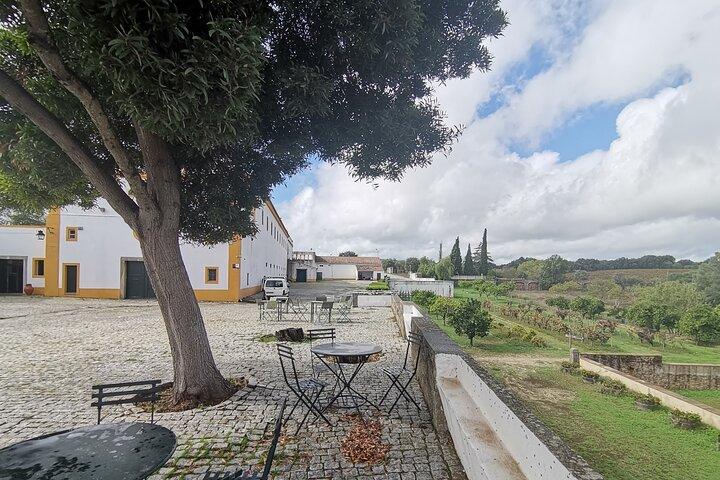 Private Tour to Evora with wine tasting at the Cartuxa Winery