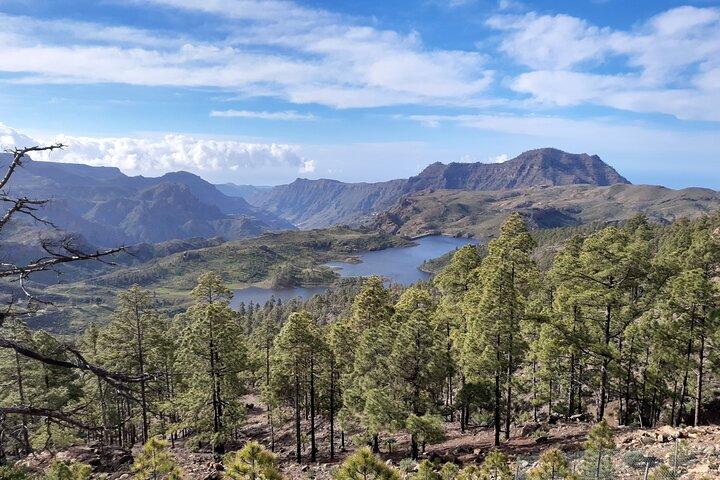 Expérience de randonnée dans le nord de Gran Canaria