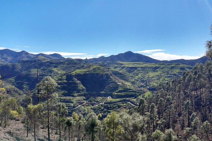 Esperienza escursionistica nel nord di Gran Canaria