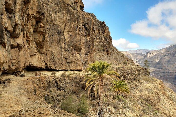 Esperienza escursionistica nel nord di Gran Canaria