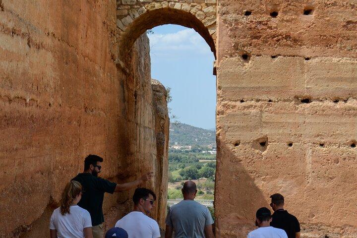 Algarve Safari - Half Day from Albufeira