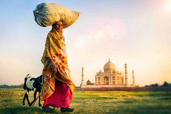 Privat Taj Mahal vid soluppgången och Agra Day Tour från Delhi