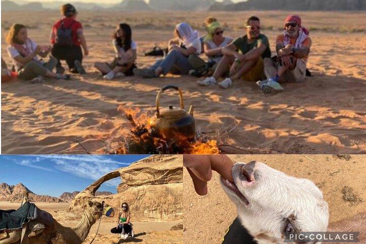 Excursión de día completo al desierto y la granja de Wadi Rum