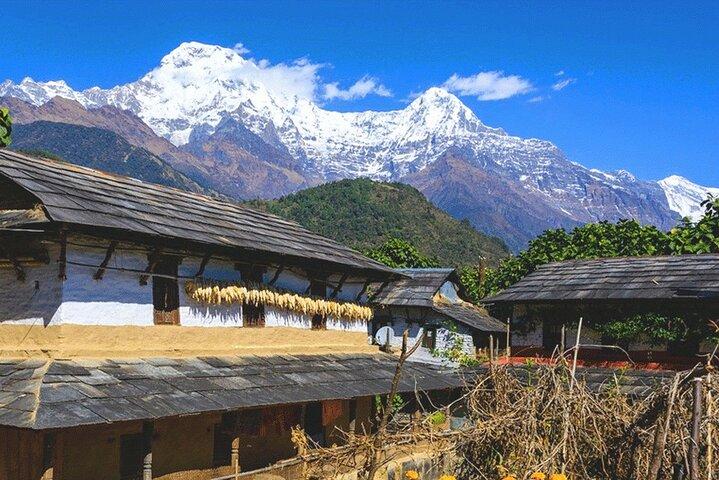5 Tage Ghorepani Poonhill Trek