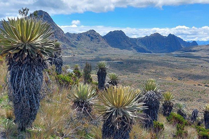 Hiking to the largest paramo on earth : Sumapaz
