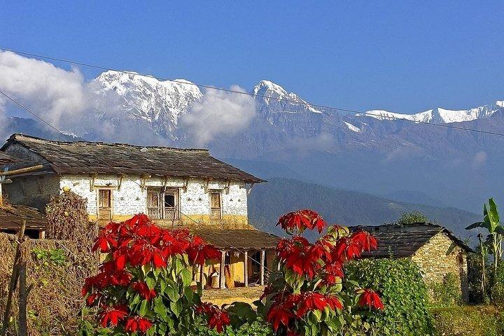 5 Tage Ghorepani Poonhill Trek