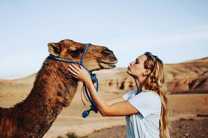 Three Valleys and Atlas Mountain & Waterfalls Tour from Marrakech