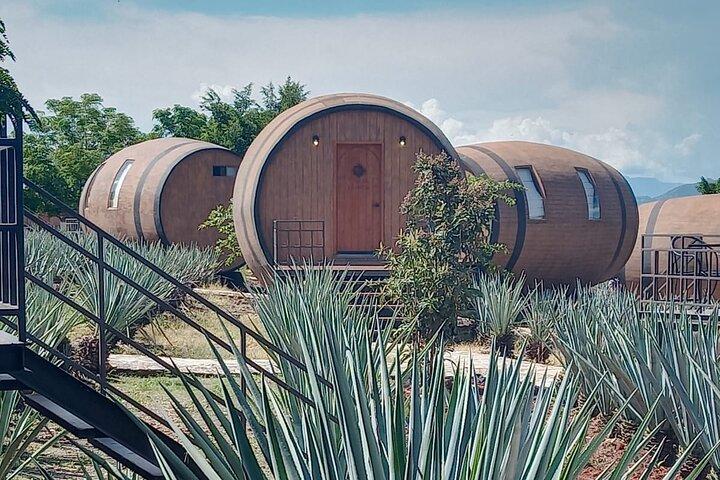 Tour privado de tequila en Guadalajara