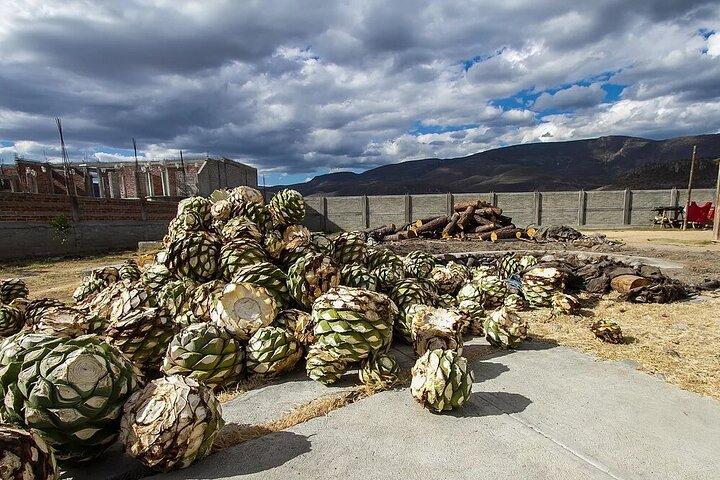 El Tule, Teotitlán, Mitla, Hierve el Agua en Mezcal-fabriek