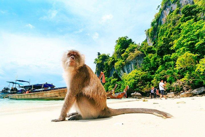ランタ島からスピードボートでピピ島へのシュノーケリングツアー