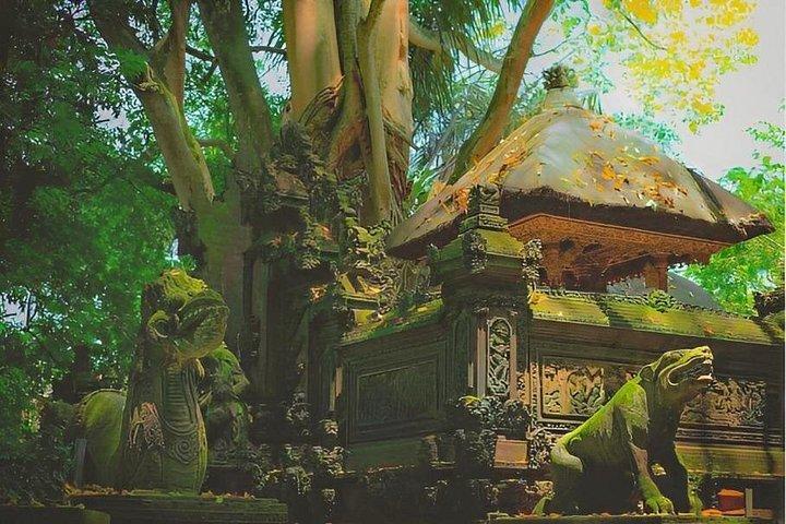 Ubud Tour com Jungle Swing e Waterfall Water Temple
