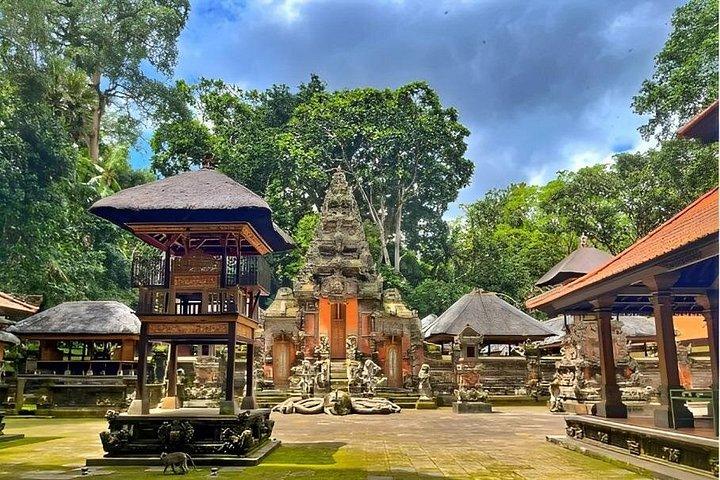 Ubud Tour com Jungle Swing e Waterfall Water Temple