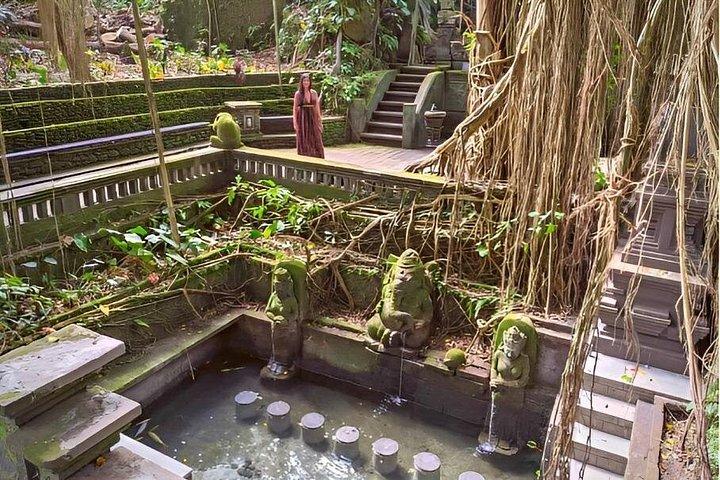 Ubud Tour com Jungle Swing e Waterfall Water Temple